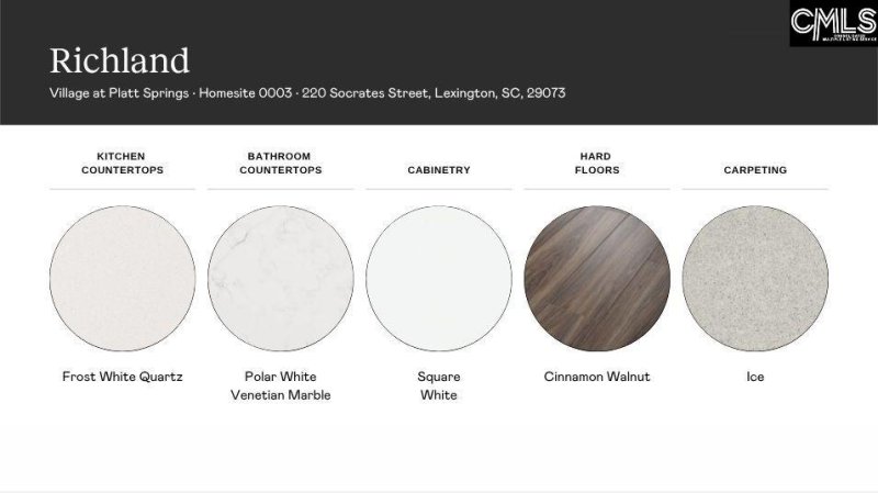 Property image 4 of 220 Socrates Street in The Village At Platt Springs, Lexington, SC 29073