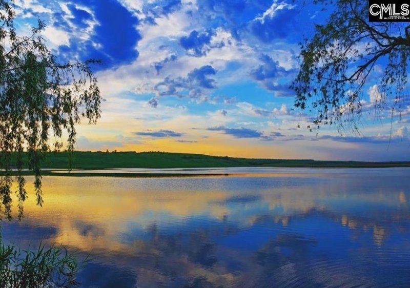 Property image 3 of 918 Salisbury Court in Whitewater Landing, Chapin, SC 29036