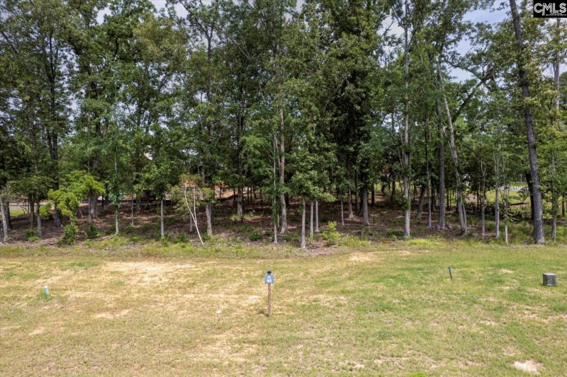 Property image 2 of 612 Misty Banks Drive in Whitewater Landing, Chapin, SC 29036