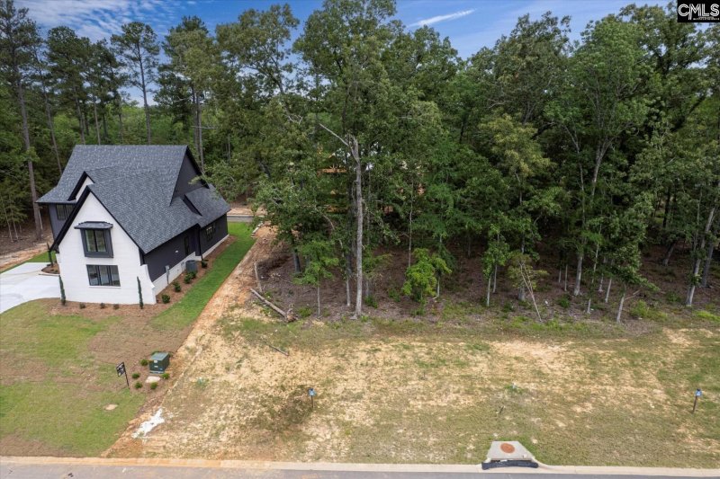 Property image 4 of 612 Misty Banks Drive in Whitewater Landing, Chapin, SC 29036