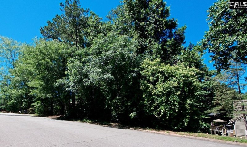 Property image 2 of 1315 Murraywood Dr in Murraywood, Columbia, SC 29212