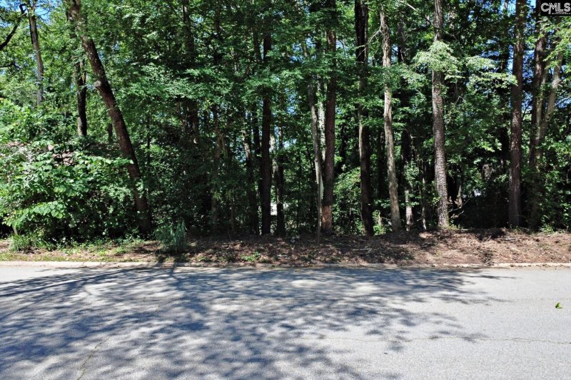 Property image 3 of 1315 Murraywood Dr in Murraywood, Columbia, SC 29212