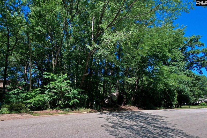 Property image 4 of 1315 Murraywood Dr in Murraywood, Columbia, SC 29212