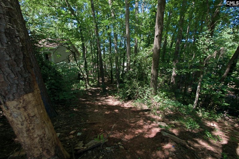 Property image 5 of 1315 Murraywood Dr in Murraywood, Columbia, SC 29212