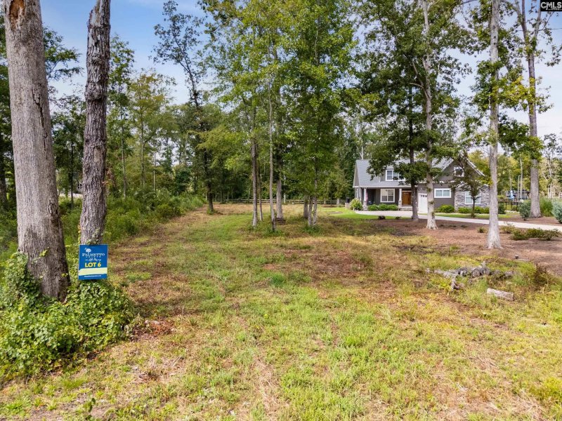 Property image 3 of Lot 6 Longview Drive in Palmetto Pointe, Leesville, SC 29070