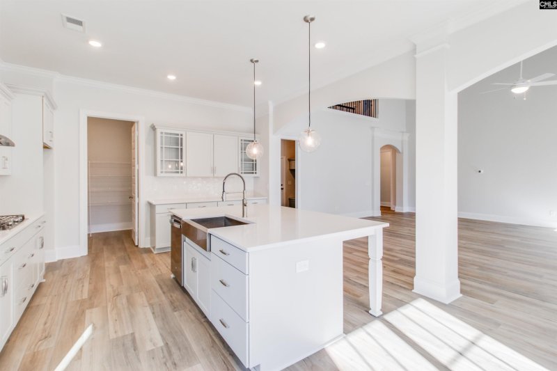 Property image 5 of 2348 Hadley Crossing in Palmetto Shores, Chapin, SC 29036