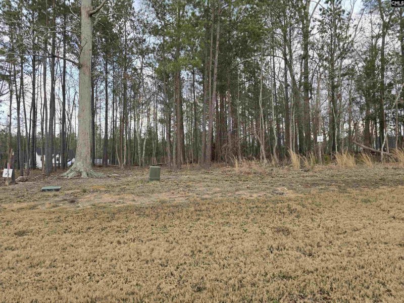 Property image 4 of 122 Timber Trail Lane in Stewart Landing, Prosperity, SC 29127