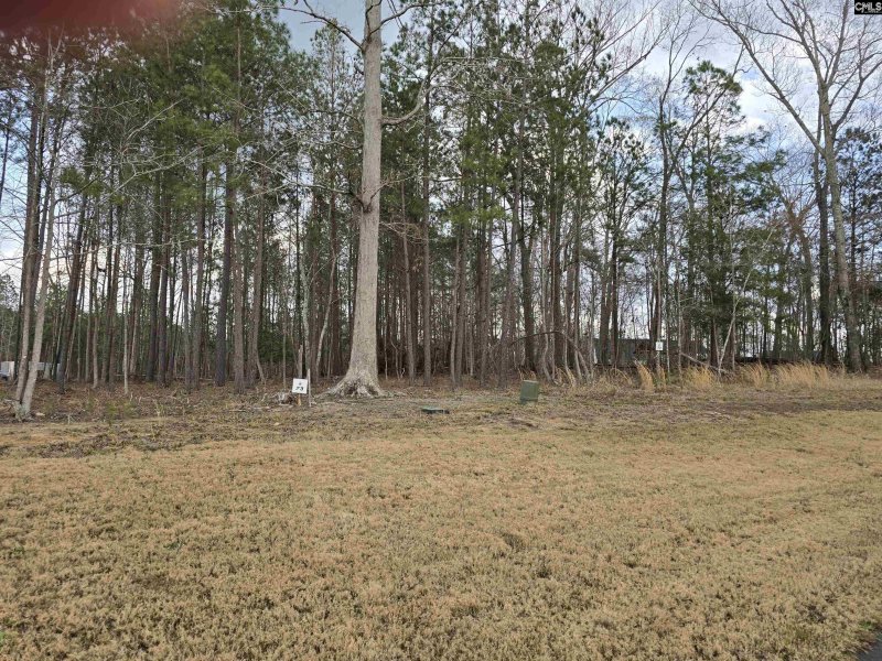 Property image 5 of 122 Timber Trail Lane in Stewart Landing, Prosperity, SC 29127