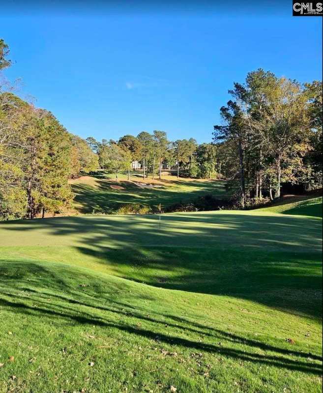 Property image 4 of 1056 Coogler Crossing Drive in Cobblestone Park, Blythewood, SC 29016