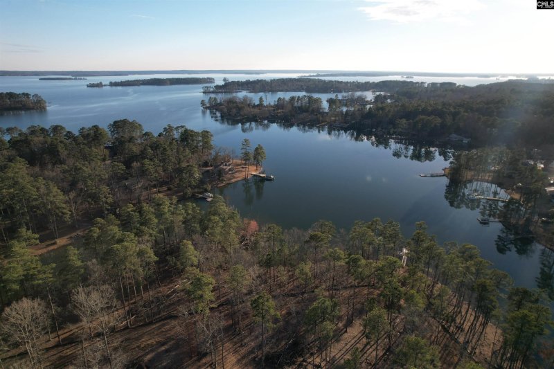 Property image 3 of 1533 Saugus Court in Palmetto Shores, Chapin, SC 29036