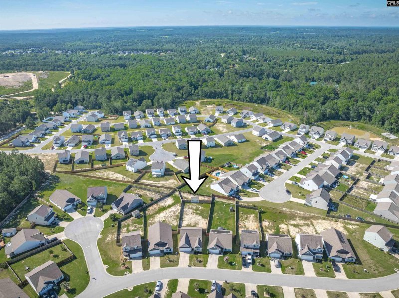 Property image 3 of 239 Common Reed Drive in Finlay Farms, Gilbert, SC 29054