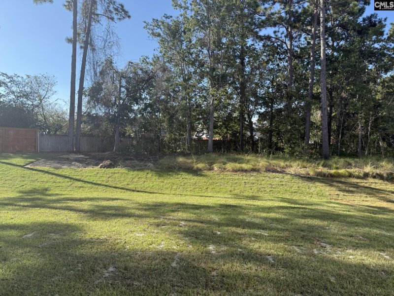 Property image 2 of 266 Horse Farm Place in Hendrix Farms, Lexington, SC 29072