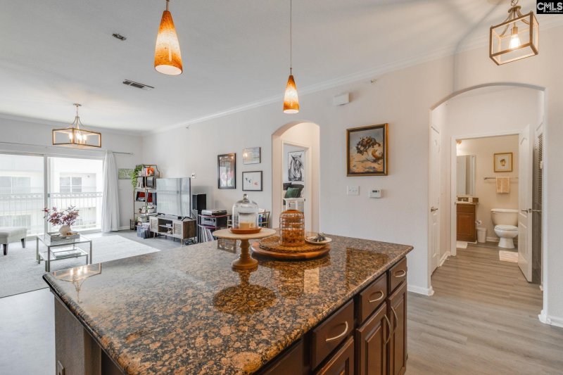 Property image 5 of 1085 Shop Road 425 in The Gates At Williams-brice, Columbia, SC 29201