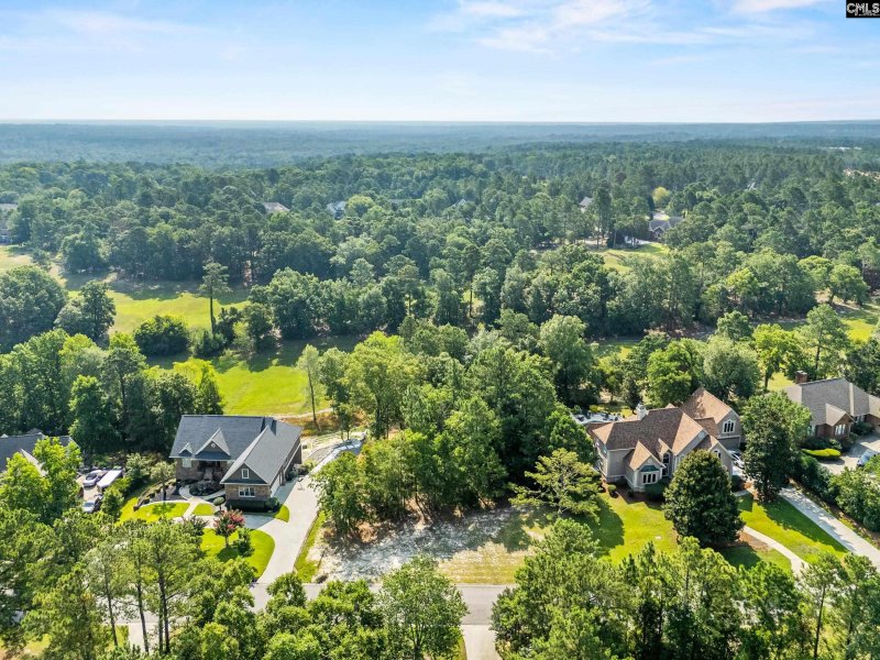 Property image 5 of 208 Crickentree Drive in Crickentree, Blythewood, SC 29016