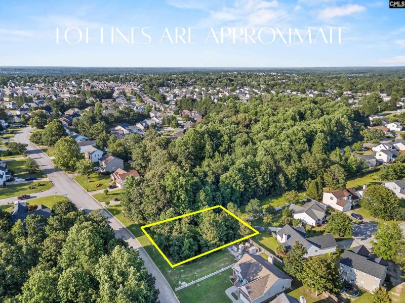 Property image 2 of 312 Alderston Way in Winchester, Columbia, SC 29229