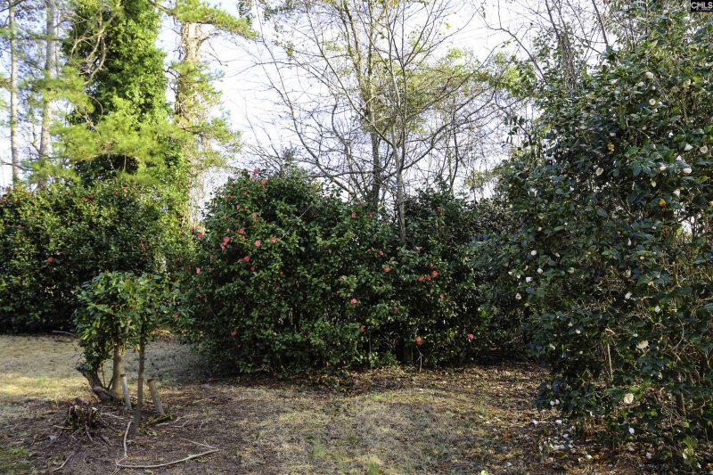 Property image 5 of 960 Curtis Street in Arrowwood, Columbia, SC 29210