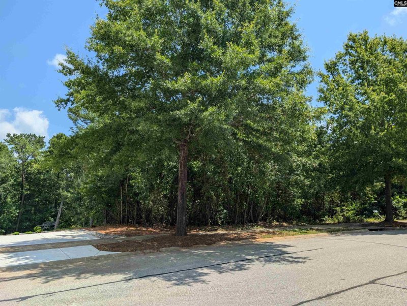 Property image 5 of 1060 Coogler Crossing Drive in Cobblestone Park, Blythewood, SC 29016