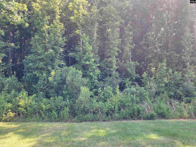 Property image 3 of Lot 85 Clouds Creek Circle in Palmetto Pointe, Leesville, SC 29070