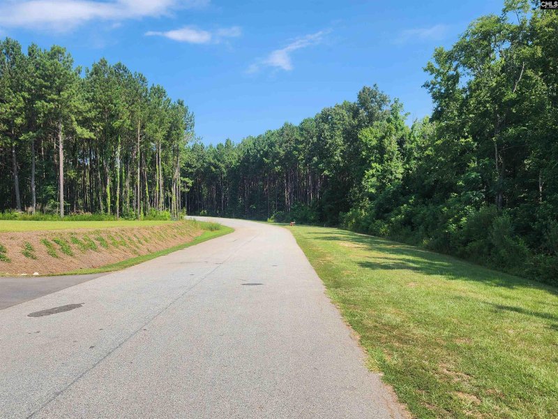 Property image 4 of Lot 85 Clouds Creek Circle in Palmetto Pointe, Leesville, SC 29070