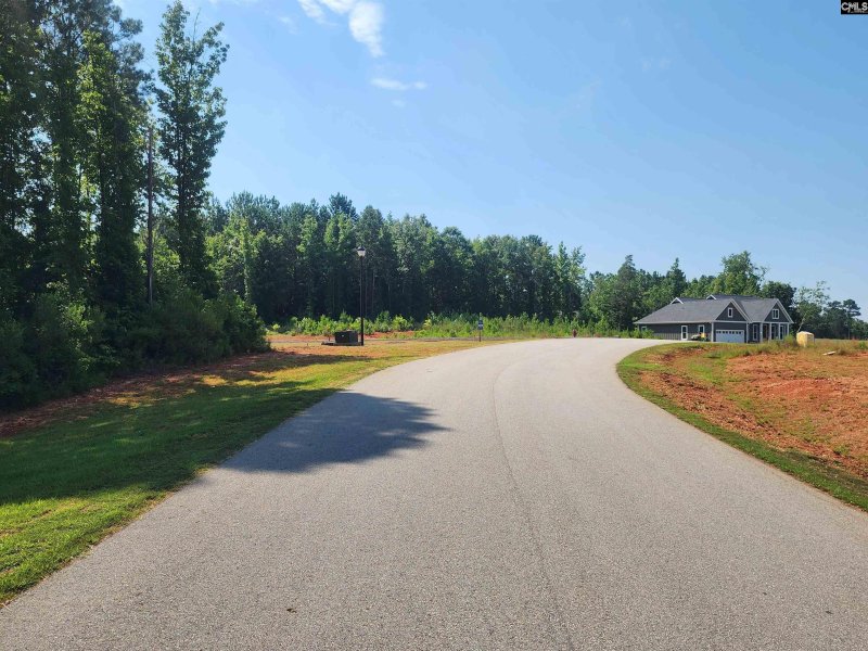 Property image 5 of Lot 85 Clouds Creek Circle in Palmetto Pointe, Leesville, SC 29070
