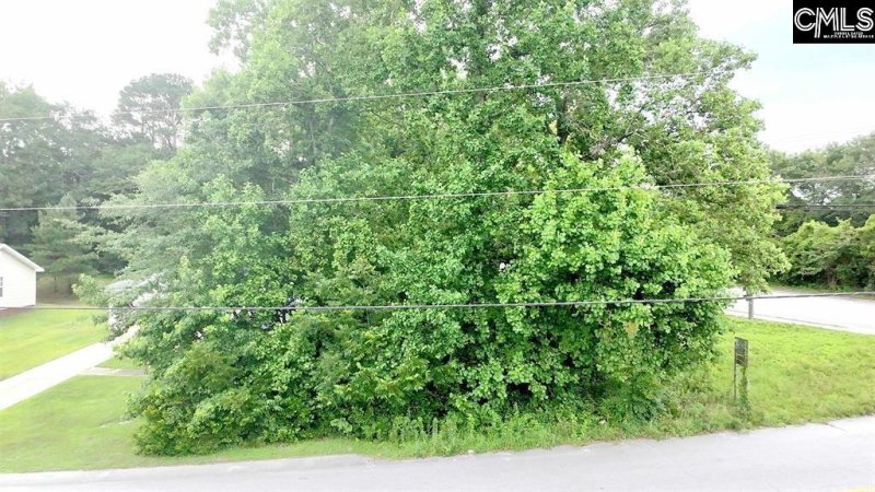 Property image 3 of 119 Easter Street in Greenview, Columbia, SC 29203