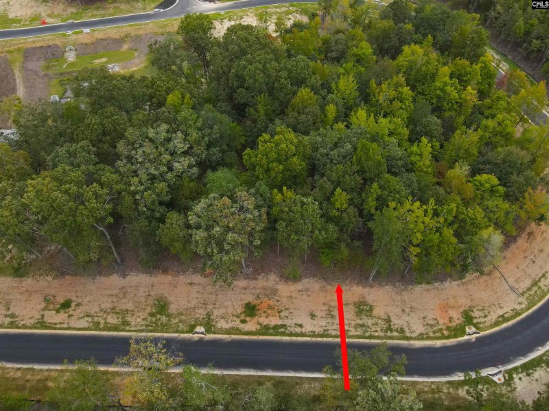 Property image 2 of 1064 Refuge Pl in Whitewater Landing, Chapin, SC 29036