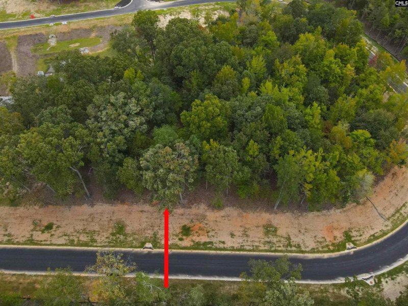 Property image 2 of 1068 Refuge Pl in Whitewater Landing, Chapin, SC 29036