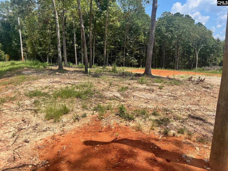 Property image 2 of 1230 Caughman Acres Road in Caughman Acres, Leesville, SC 29070