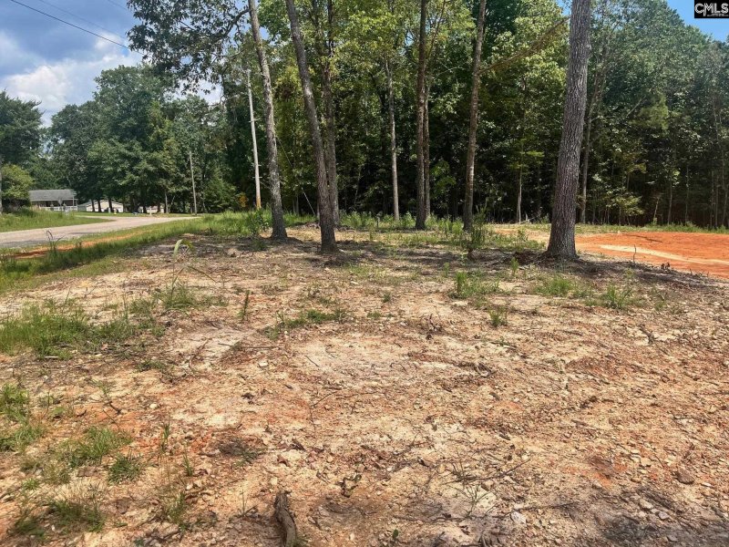 Property image 3 of 1230 Caughman Acres Road in Caughman Acres, Leesville, SC 29070