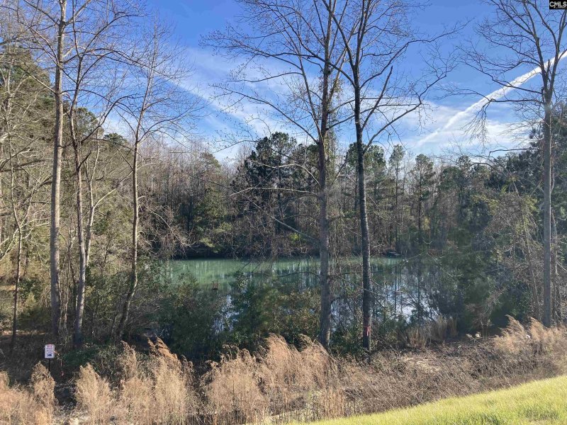 Property image 2 of 1692 Hidden Garden Lane in Finlay Farms, Gilbert, SC 29054