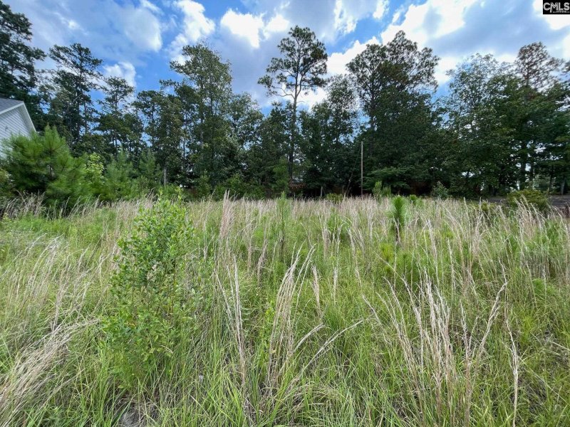 769 Club Cottage Drive