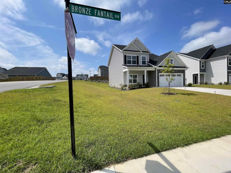 Property image 4 of 605 Bronze Fantail Run in Nightingale Hill, Lexington, SC 29072