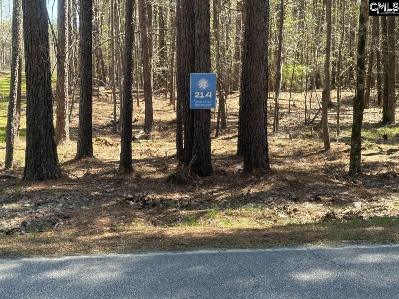 Property image 3 of Lot 214 Hollands Landing Road in Stewart Landing, Prosperity, SC 29127