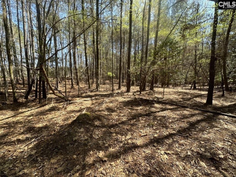Property image 4 of Lot 214 Hollands Landing Road in Stewart Landing, Prosperity, SC 29127