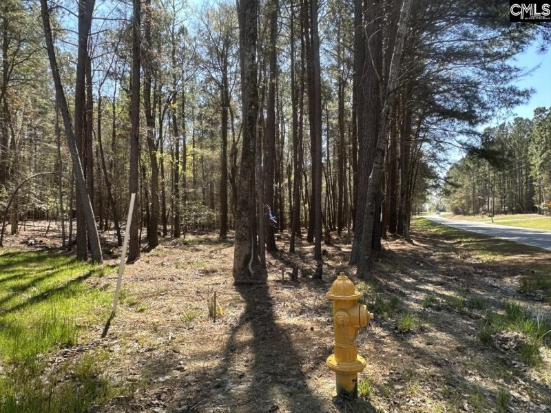 Property image 5 of Lot 214 Hollands Landing Road in Stewart Landing, Prosperity, SC 29127