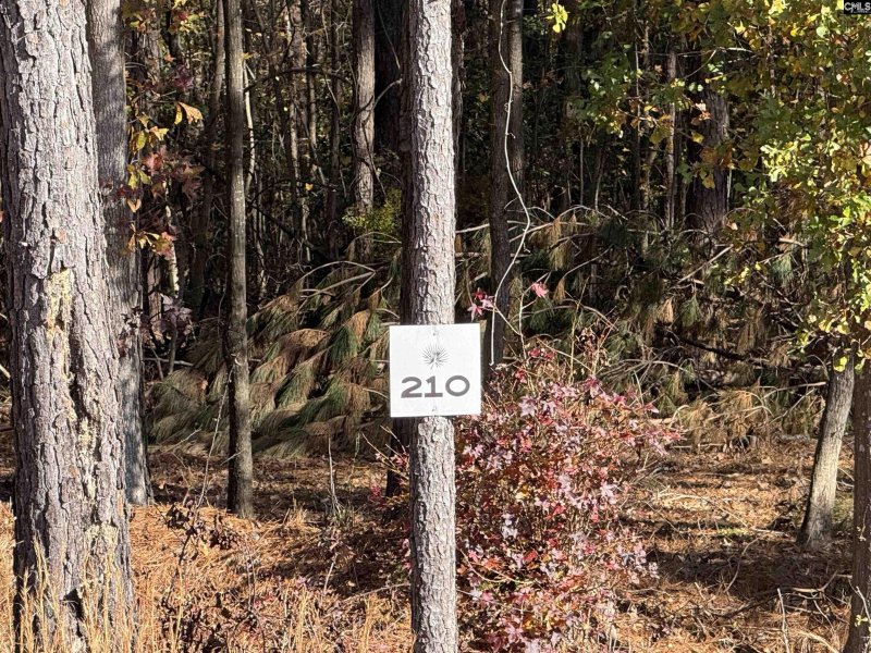 Property image 2 of Lot 210 Circle H Woods Road in Stewart Landing, Prosperity, SC 29127