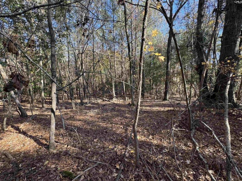 Property image 3 of Lot 210 Circle H Woods Road in Stewart Landing, Prosperity, SC 29127