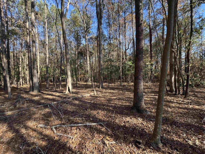 Property image 4 of Lot 210 Circle H Woods Road in Stewart Landing, Prosperity, SC 29127