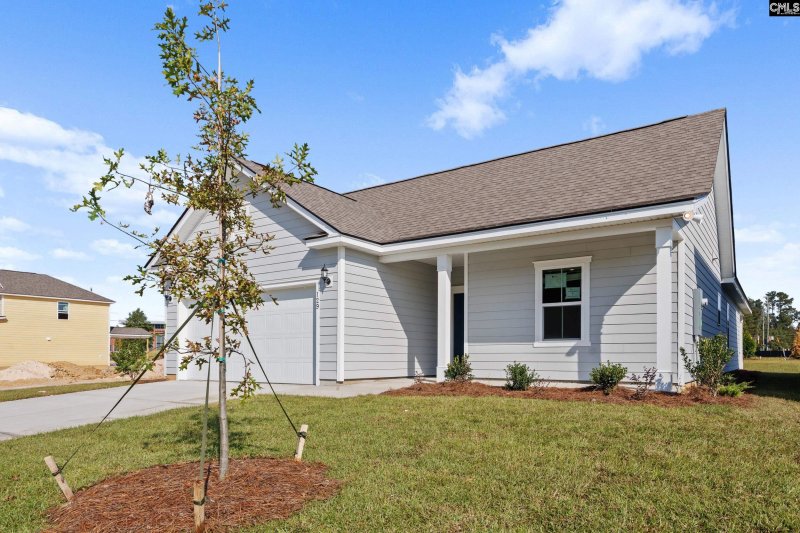 Property image 3 of 129 Monroe Preserve Drive in Monroe Preserve, Chapin, SC 29036