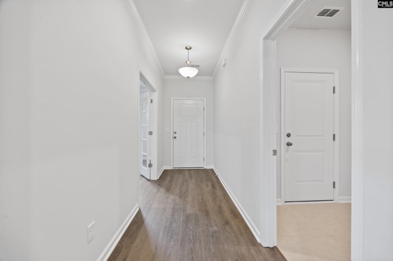 Property image 5 of 129 Monroe Preserve Drive in Monroe Preserve, Chapin, SC 29036