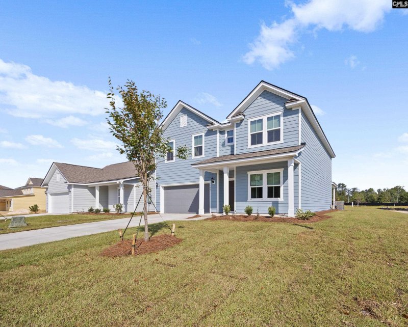 Property image 3 of 133 Monroe Preserve Drive in Monroe Preserve, Chapin, SC 29036