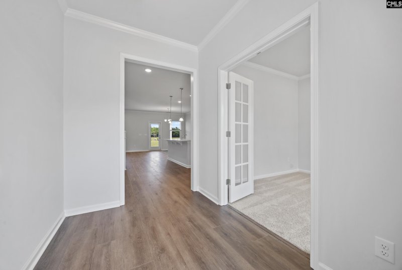 Property image 4 of 133 Monroe Preserve Drive in Monroe Preserve, Chapin, SC 29036