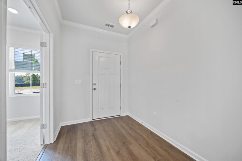 Property image 5 of 133 Monroe Preserve Drive in Monroe Preserve, Chapin, SC 29036