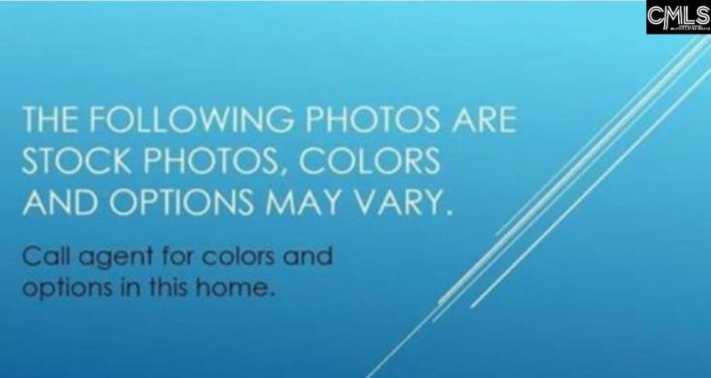 Property image 4 of 114 Monroe Preserve Drive in Monroe Preserve, Chapin, SC 29036