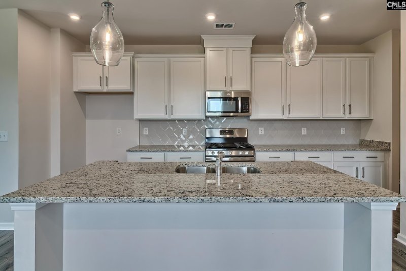 Property image 3 of 205 Brass Billion Path in Copper Crest, Lexington, SC 29073