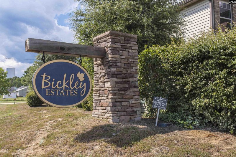 Property image 4 of 240 Bickley View Court in Bickley Estates, Chapin, SC 29036