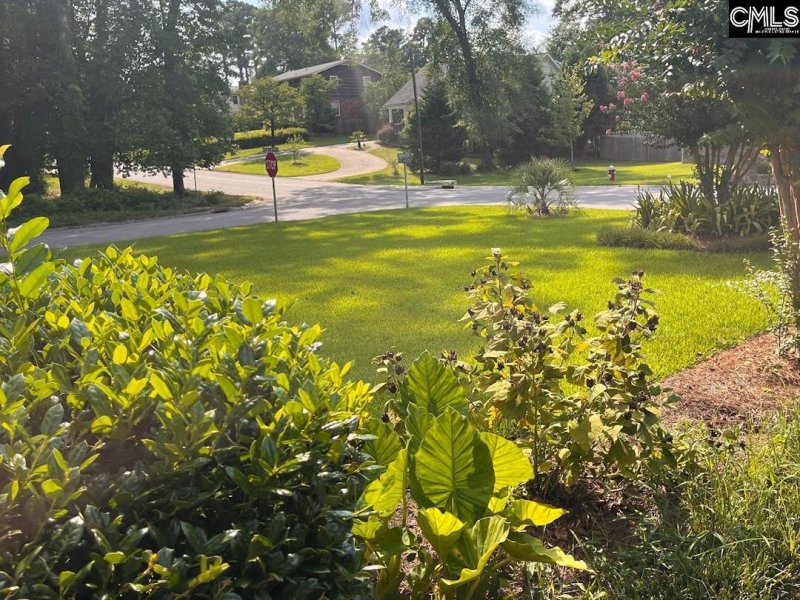 Property image 5 of 1 Cardross Lane in St Marks Wood, Columbia, SC 29209