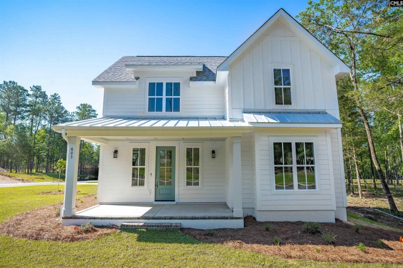 Property image 4 of 603 Misty Banks Drive in Whitewater Landing, Chapin, SC 29036
