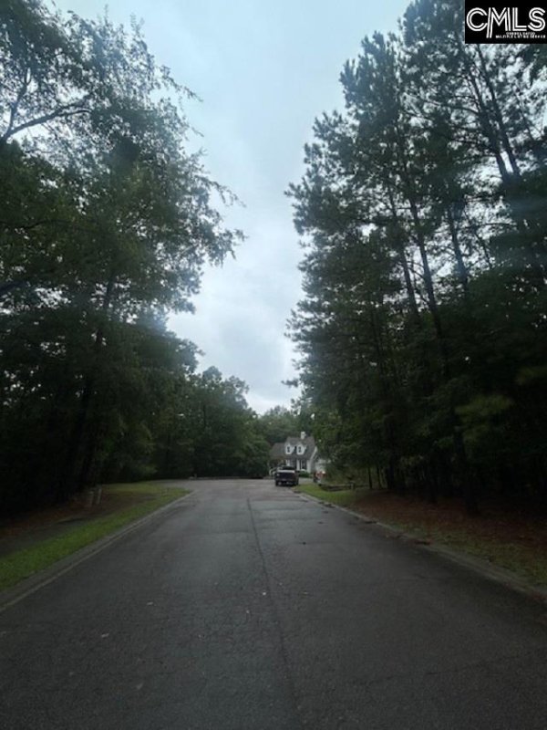 Property image 3 of 308 Bryars Court in Corley Woods, Lexington, SC 29072