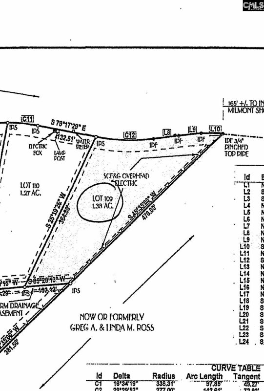 Property image 2 of 409 Caro Lane in The Oaks, Chapin, SC 29036